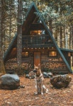 woof에 관한 20개의 최상의 Pinterest 이미지 | 하이킹, Adventure awaits 및 모험 woof