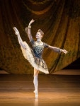 Wiener Staatsballett에 있는 AnnaBlochl님의 핀 | 발레