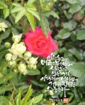 Pin page Pin en 캘리그라피 en 2024