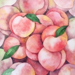 전주수채화 #전주취미미술 #전주혁신도시 #완주혁신도시 #완주미술#전주미술 #감성수채화#수채화일러스트 #꽃그림 #완주수채화 #전북…