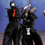 Pin page Pin on 무술