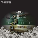 강서 마곡 수테라피 마사지구인 스웨디시구인 공고 | 테라피닷컴