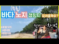 낚시.낚시장소..기타등등에 있는 회님의 핀