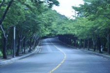 한국의 아름다운길..팔공산 동화사가는길..20130626