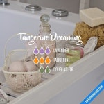 Tangerine Dreaming | 천연 화장품