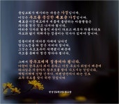 As a Peace Loving Global Citizen에 있는 Mieun Kim님의 핀