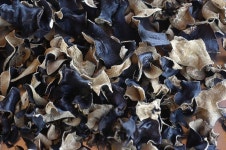 목이버섯 효능 및 의학 작용과 특징 - 2020 | 버섯, 영양, 신진대사