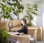 김현아님이 카페인테리어에 올린 실내정원 이미지 | 집, 인테리어