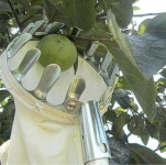 Metal Fruit Picker with Bag | 도구