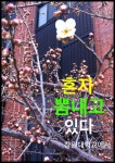지난주 창원대학교 21호관 앞이다. 성질 급한 한 녀석이 그만 참지 못하고 자기 모습을 뽐내고 있다.
