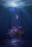포토샵 작업에 있는 Neuti님의 핀 - 2021 | 포토샵