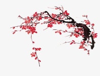 빨간색, 꽃, 꽃 일러스트 PNG, 국화 매화 이미지 벡터, PSD 파일 - Pngtree