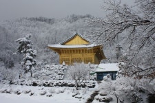 수국사 - Google 검색 | Old pictures, House styles, Pictures