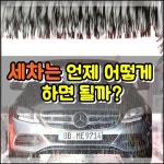 세차는 언제 어떻게 하면 될까? - 2020 | 세차, 진흙