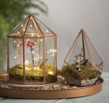 •플랜테리어 Terrarium 으로 나만의 아늑한 실내정원 만들기! : 네이버 블로그 | 테라륨, 유리 테라리움, 테라리움