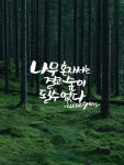 숲을 이루라