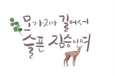 모가지가 길어서 슬픈 짐승이여