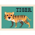 Affiche Tiger Ingela P. Arrhenius | 알파벳 카드, 동물, 패턴