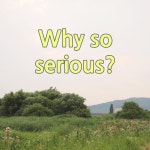 #스튜디오에고 #사진 #촬영 #숲 #산책 #일상 #studioego #photo #photography #forest #tree #whysoserious #artwork #canon #6dmark2... 