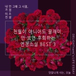천월이 아니어도 꿀재미, 안 보면 후회하는 언정소설 BEST 3 ｜ 그때 그 시절, 내가 미친 언정소설 - 2020 | 로맨스 소설, 독서, 소설