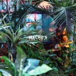machos.sachunki 플랜테리어 planterior