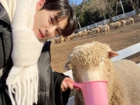 cha eunwoo on Twitter 마지막까지 화이팅!!!!!👍👍👍🐑🐑🐑 | Cha eun woo, Woo, Cha eun woo astro cha eunwoo on... 