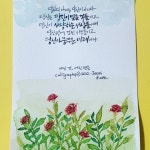 캘리 캘리그라피에 있는 핀 | 시