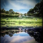 광주 천변   화보