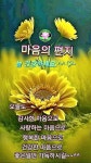 빠른 저장에 있는 헤손 횬님의 핀 | 시골 사진, 좋은 아침 인사, 꽃 미학