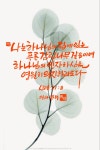 하나님의 집에 있는 푸른 감람나무