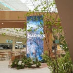 machos.sachunki 플랜테리어 planterior