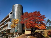 Pin page Pin by Je Sik Lee      이제식 on 경기과학고등학교. GSHS. GYEONGGI SCIENCE HIGH SCHOOL. | Plants, High school, Garden