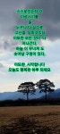 Pin page Pin by 선옥 최 on 빠른 저장