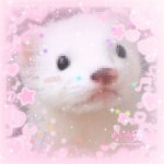 • ̥ ⁺ ☆ 💉🩸 ૮ ◞ ⸝⸝ ◟ ྀིა 천사 인형 🪓 OTt3R !!  1/2 ᝣ 💤🎀 ͙ ⁺ ૮  ๑... 