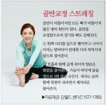 Pin on 단월드 힐링체조♡