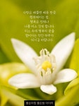 멋진 하루 되시길 바랍니다. | 꽃, 영감을 주는 인용구, 배경화면