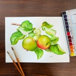 수채화에 있는 마리즈드로잉 선님의 핀 - 2021 | 수채화