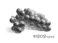 포도/드로잉/이화여대/고려대/국민대/소묘/일산/미술학원