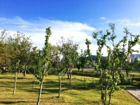 부산시민공원 나들이 : 네이버 블로그 | 블로그