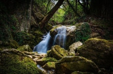 MRA와 MRI: 강력한 영상 진단 도구의 차이점과 CT 비교 | Nature photography, Waterfall photo, Waterfall