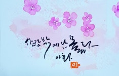 #플러스펜 수채화 캘리 #꽃피는 사랑