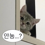 저장할 때 댓글