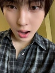 250525 뉴비트 태양 플챗 업뎃