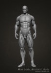 엔조이씨지 홈페이지에 오신것을 환영합니다 | Anatomy study, Anatomy, Anatomy poses