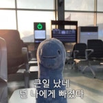 우주먼지 on Instagram: 엥 귀엽자나;;; 짤모음.zip #짤 #짤모음 #자막 #인형 #프사 #공룡 | 인형, 공룡 인형, 프로필 사진 아이디어