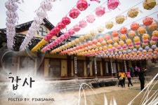 충남 공주 여행 갑사 그곳에 벚꽃대신 황매화와 연등꽃이 피었습니다. | 여행