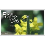 #HyaCalligraphy (햐아 캘리그라피) #글씨로그림그리는남자 #카툰캘리그라퍼(CartoonCalligrapher) #시인... 