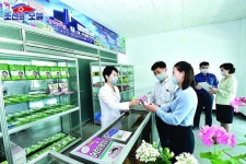 ปักพินในบอร์ด 회사, 기업소 Introduction of companies and enterprises