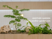 LOréal Icheon DC 직원식당 / 어나더가든 LOréal Icheon DC 직원식당 / 어나더가든 | Garden projects, Garden, Planters