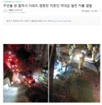 주민들 땅 훔쳐서 아파트 캠핑장 역대급 빌런커플